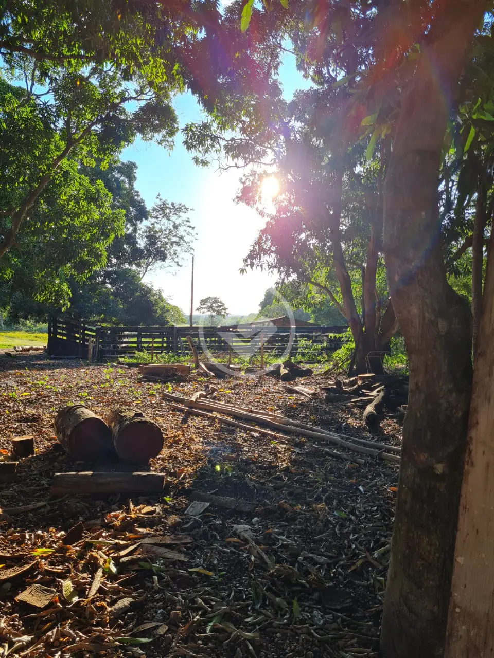 Chácara BAIRRO CONVERSAO, CIDADE CONVERSAO - MT — foto 2