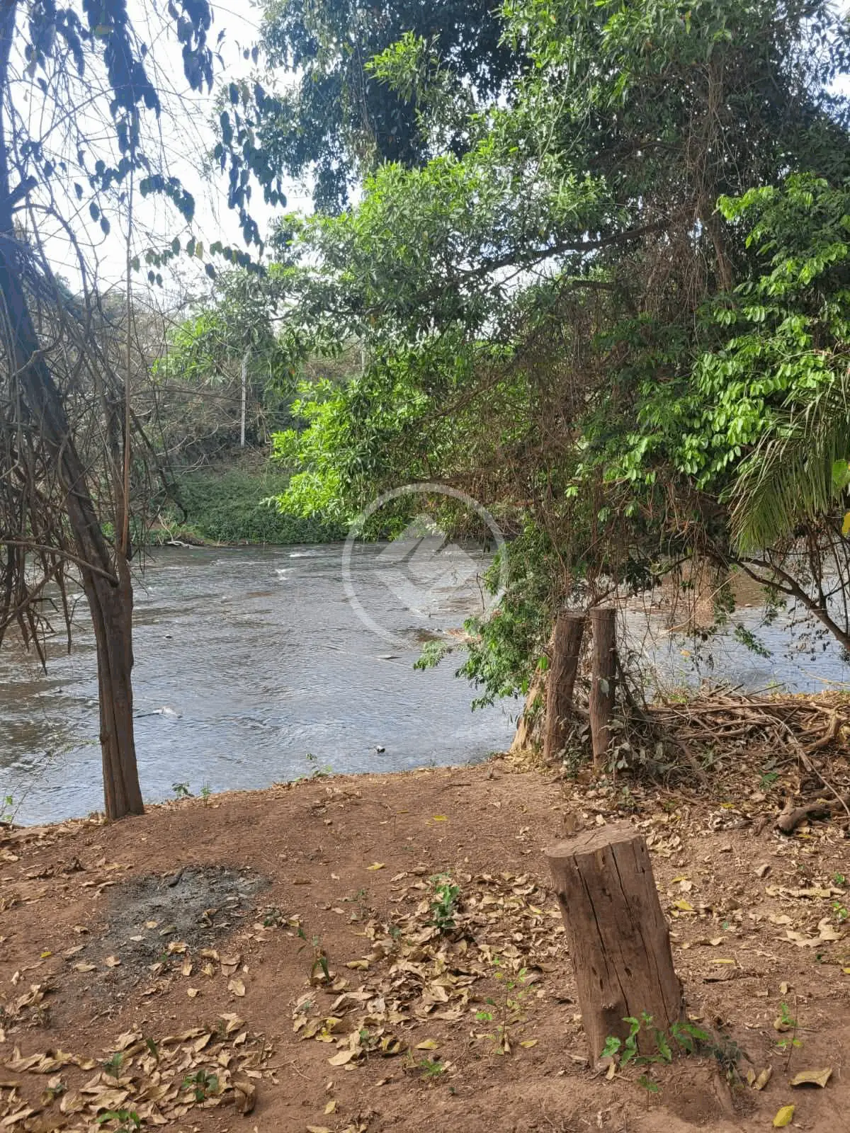 Imagem 1 - Chácara em NOVO MATO GROSSO, Cuiabá - MT