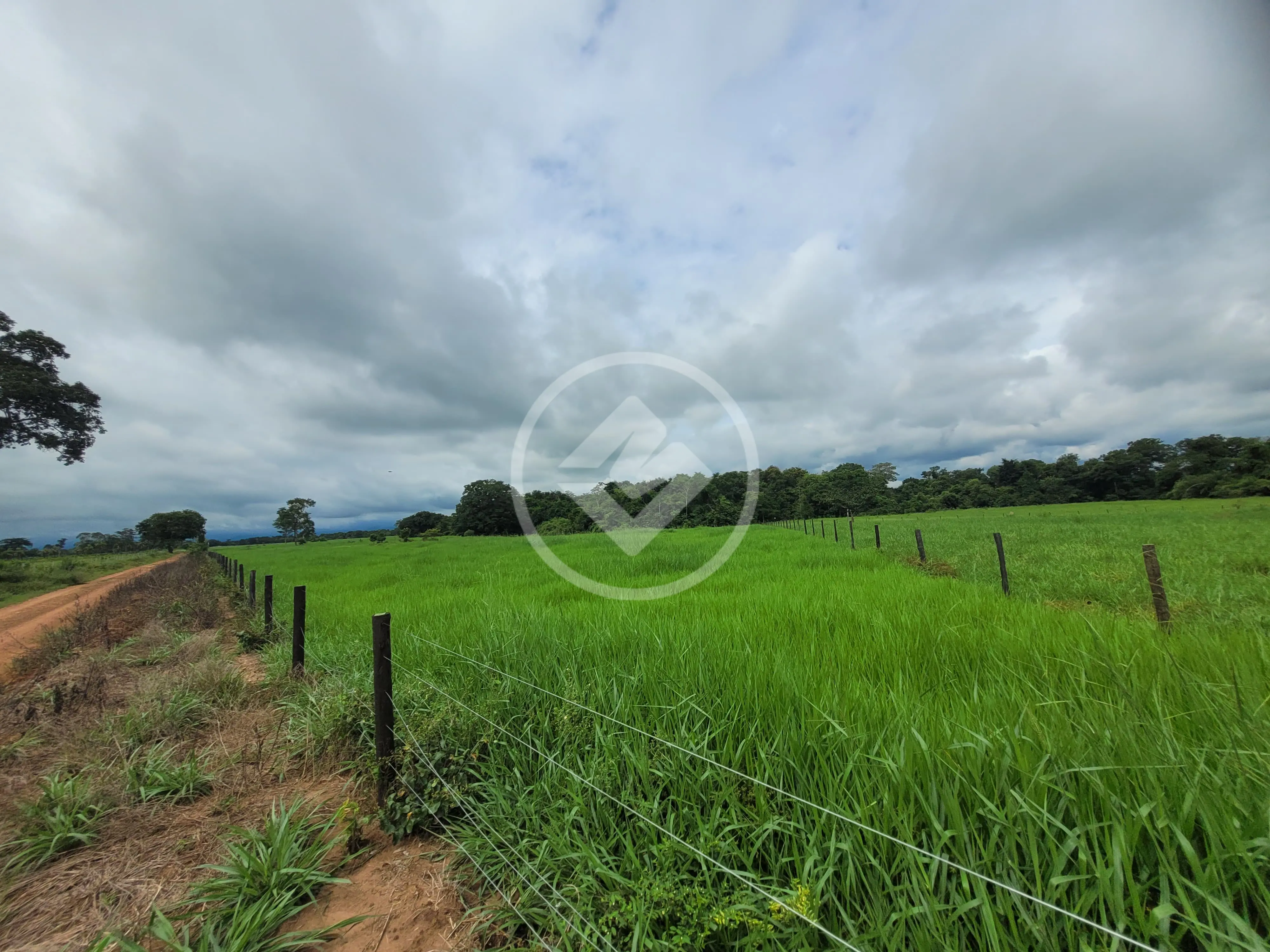 Imagem 4 - Sítio em Área Rural de Cuiabá, Cuiabá - MT
