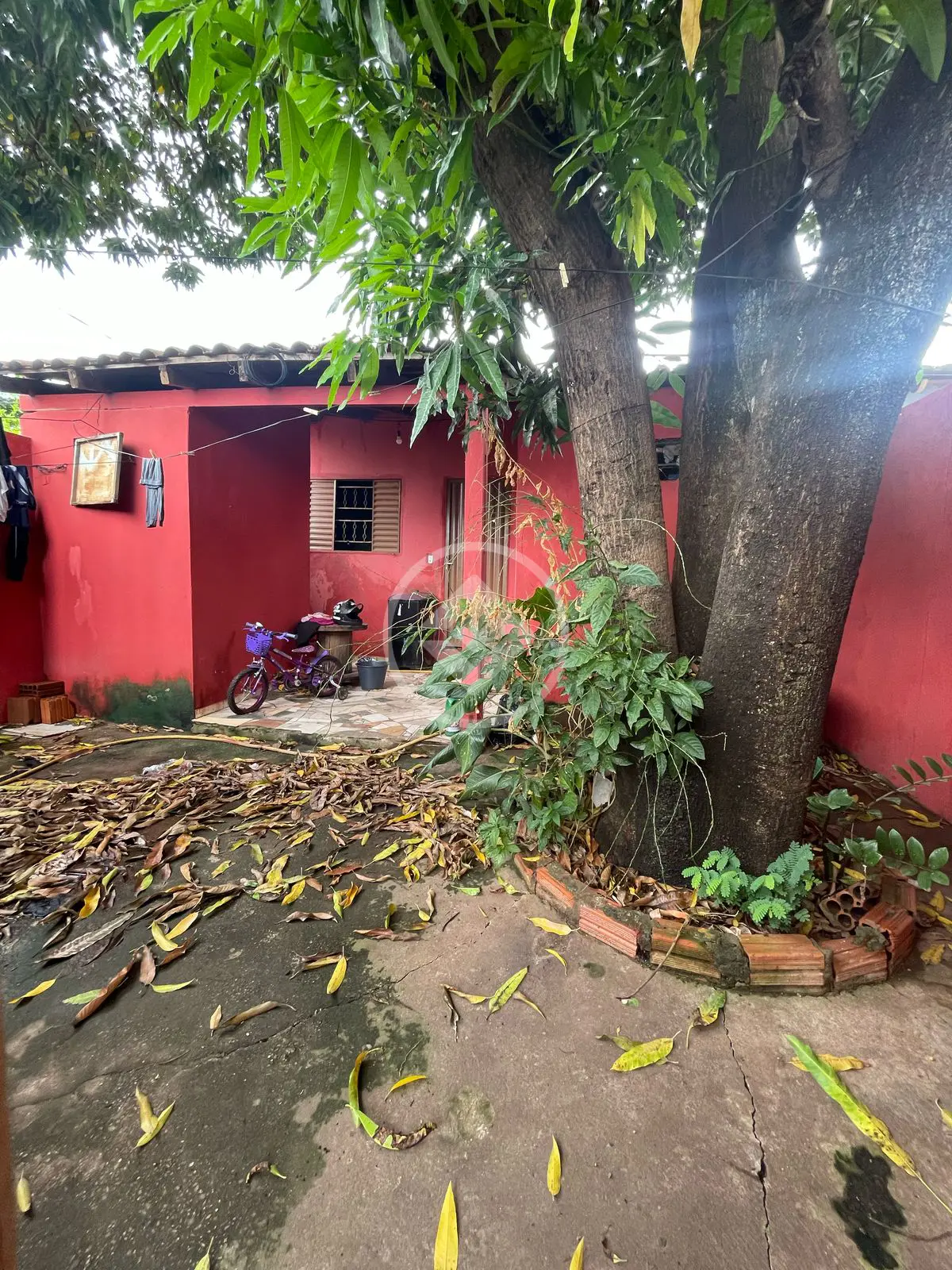 Imagem 5 - Kitnet / Conjugado em Doutor Fábio Leite II, Cuiabá - MT