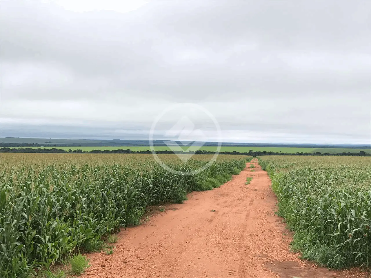 Imagem 2 - Fazenda em RURAL, Nova Mutum - MT