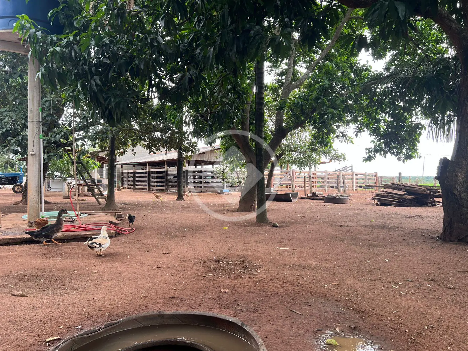 Sítio JARDIM ELDORADO, Diamantino - MT — foto 2