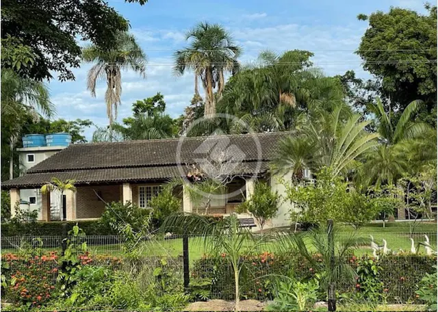 Imagem 5 - Chácara em DISTRITO DE NOSSA SRA DA GUIA, Cuiabá - MT