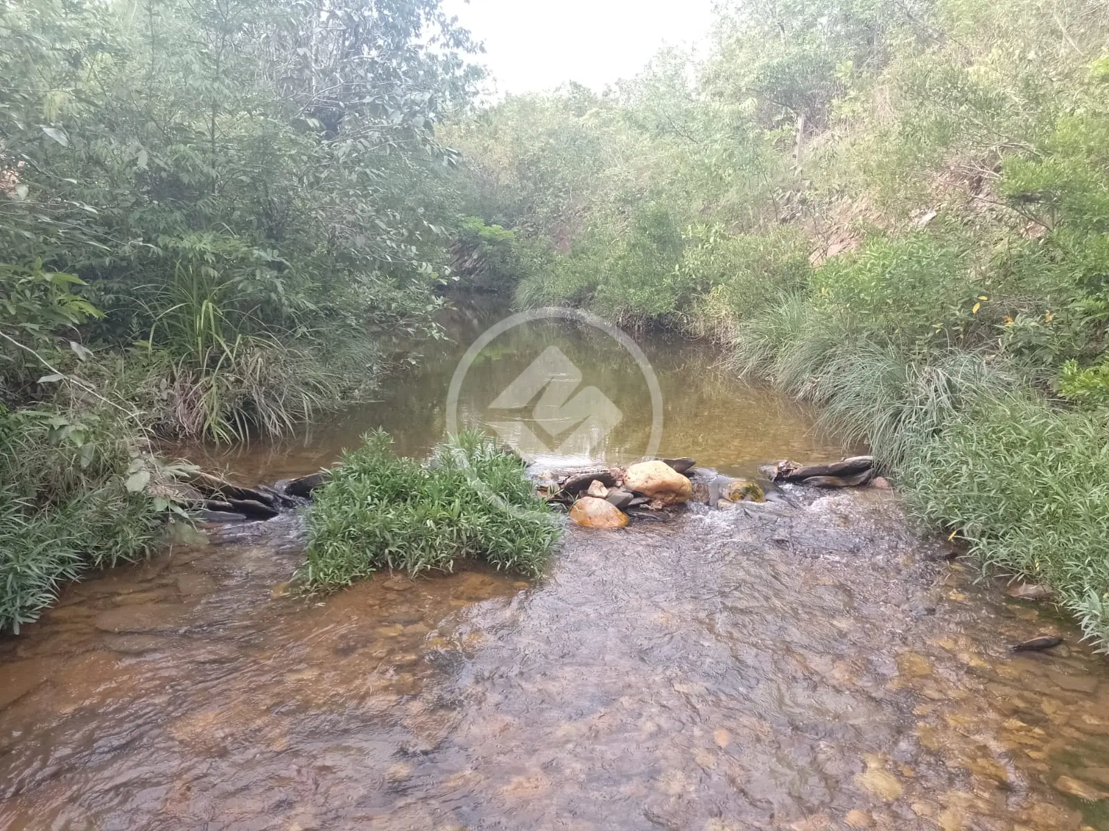 Sítio Área Rural de Cuiabá, Cuiabá - MT — foto 2