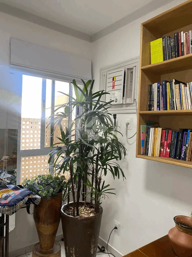 Imagem 4 - Apartamento em Centro Norte, Várzea Grande - MT