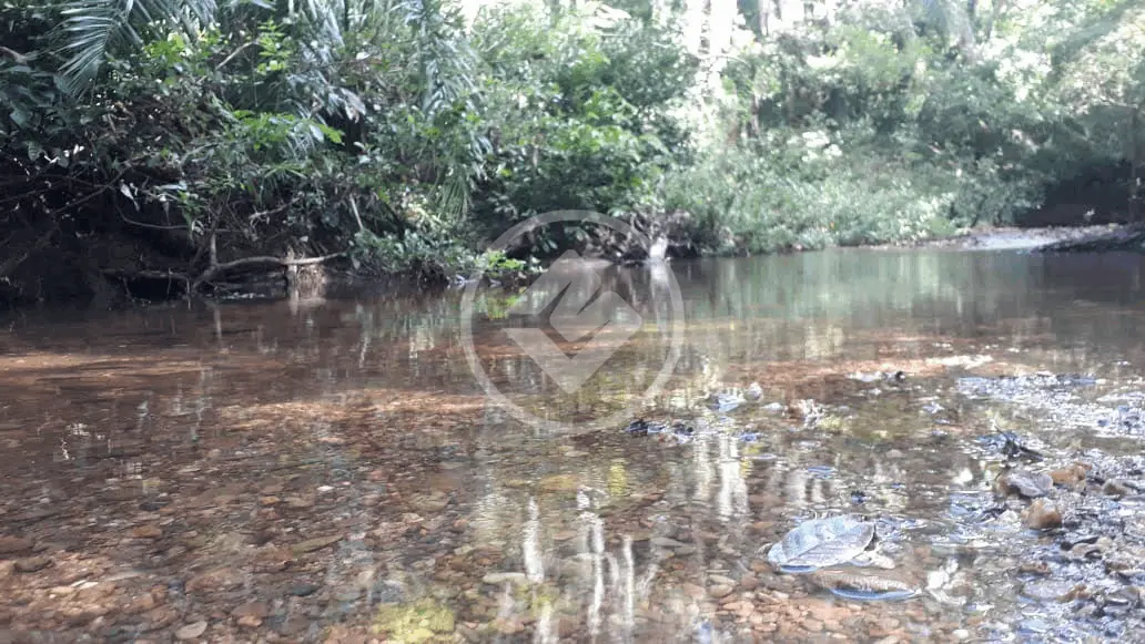 Imagem 5 - Fazenda em Manjolo, Nossa Senhora do Livramento - MT
