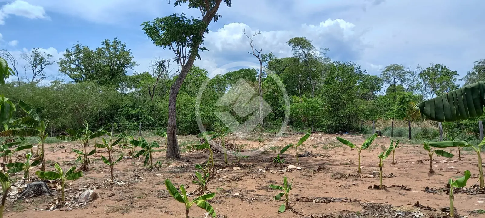 Imagem 3 - Chácara em ZONA RURAL, CIDADE CONVERSAO - MT