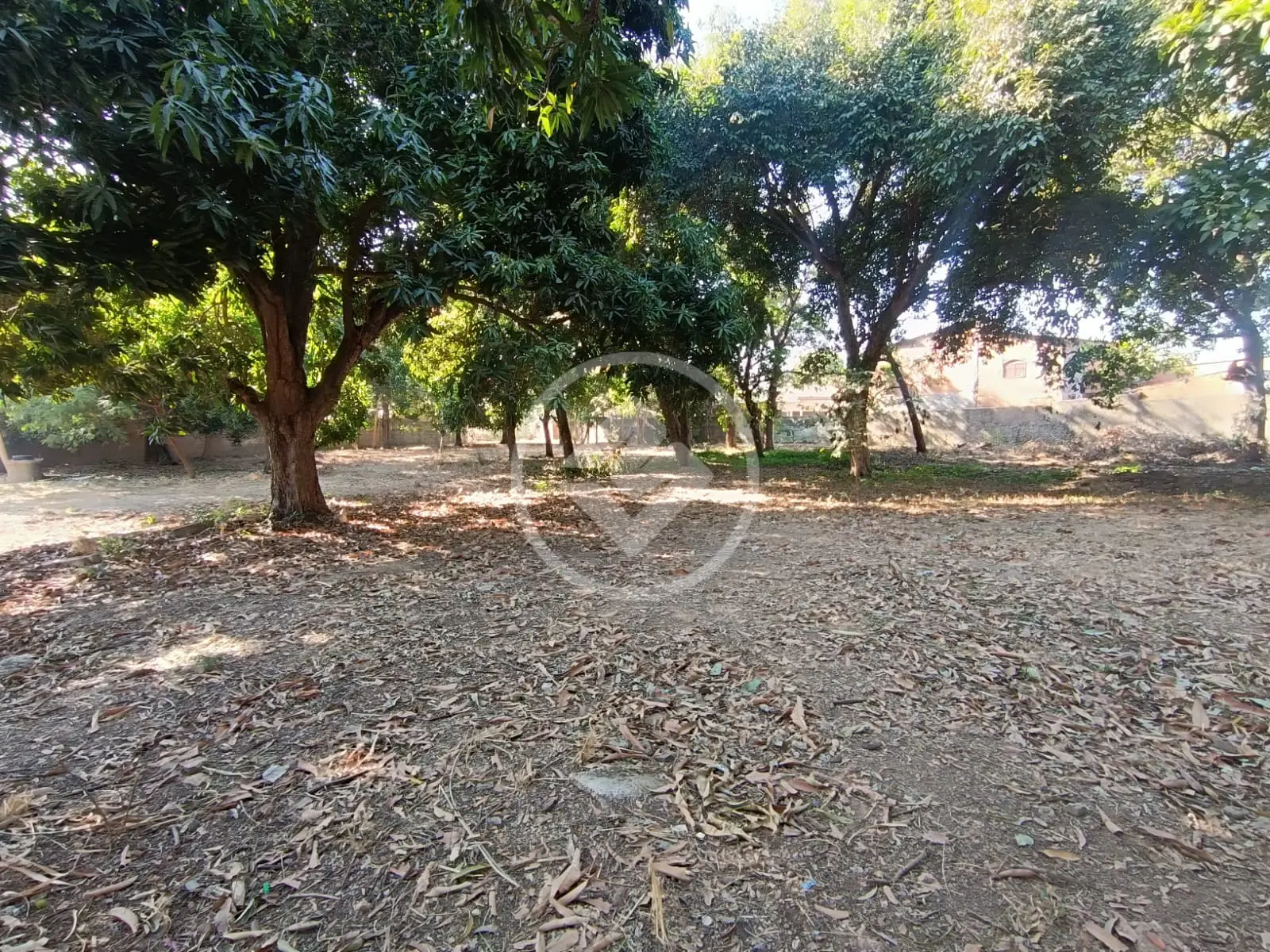 Imagem 4 - Terreno Comercial em SANTO ANTÔNIO DO PEDREGAL, Cuiabá - MT