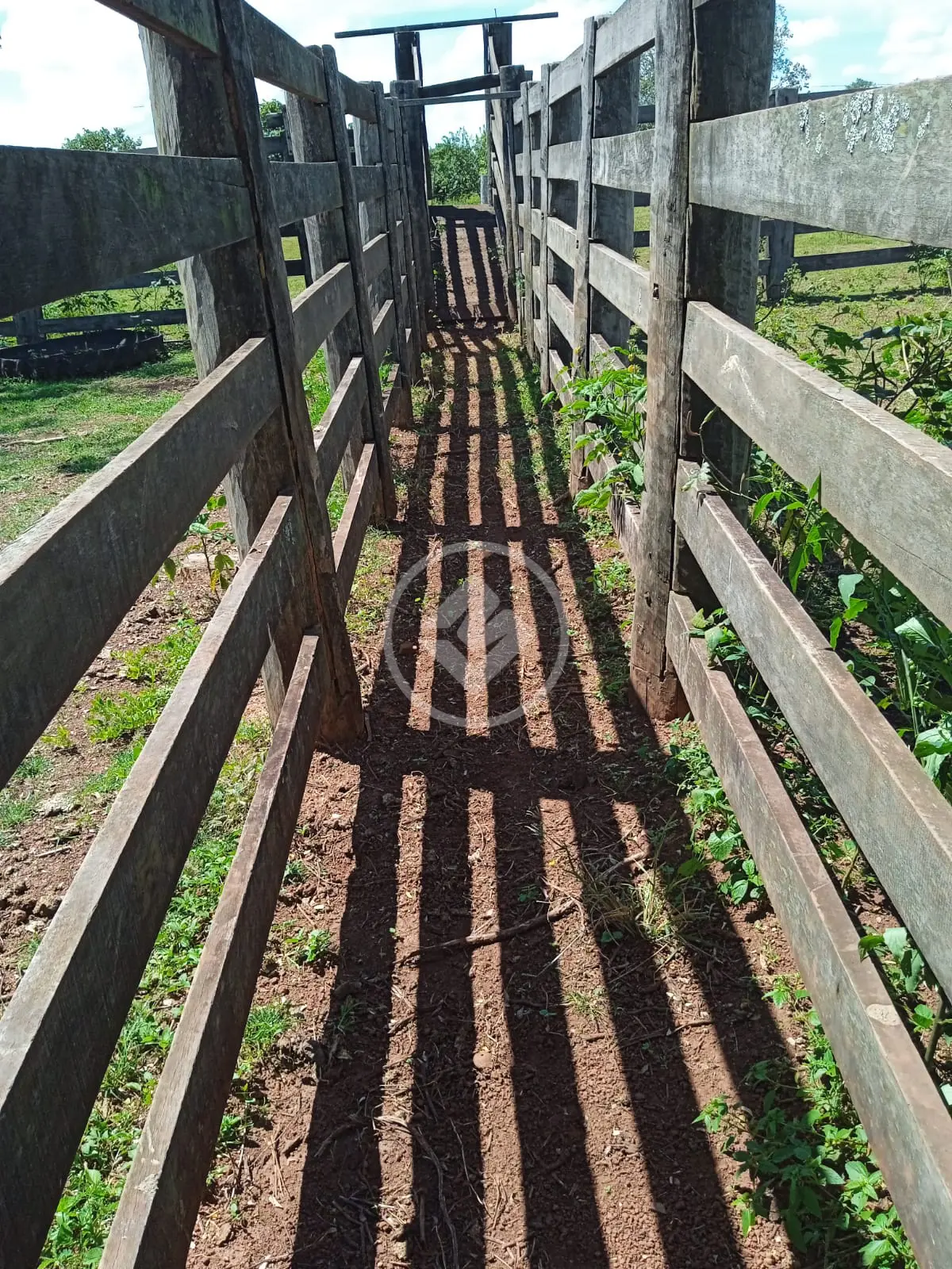Imagem 6 - Fazenda em Area Rural, Rosário Oeste - MT
