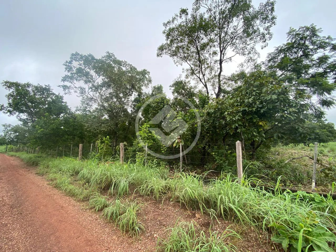 Imagem 5 - Sítio em Área Rural de Cuiabá, Cuiabá - MT