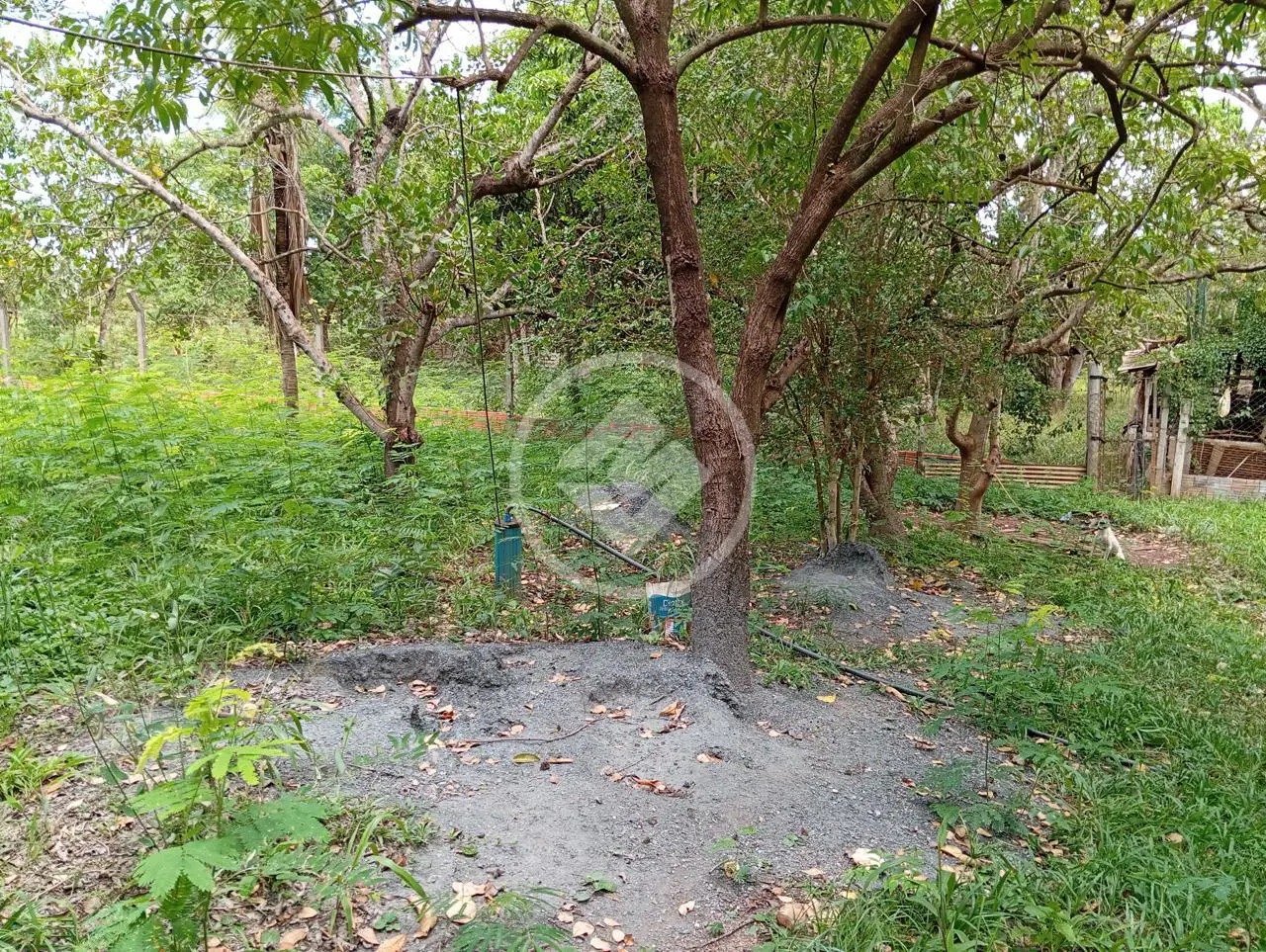 Imagem 1 - Chácara em comunidade ninho das aguas, Nossa Senhora do Livramento - MT