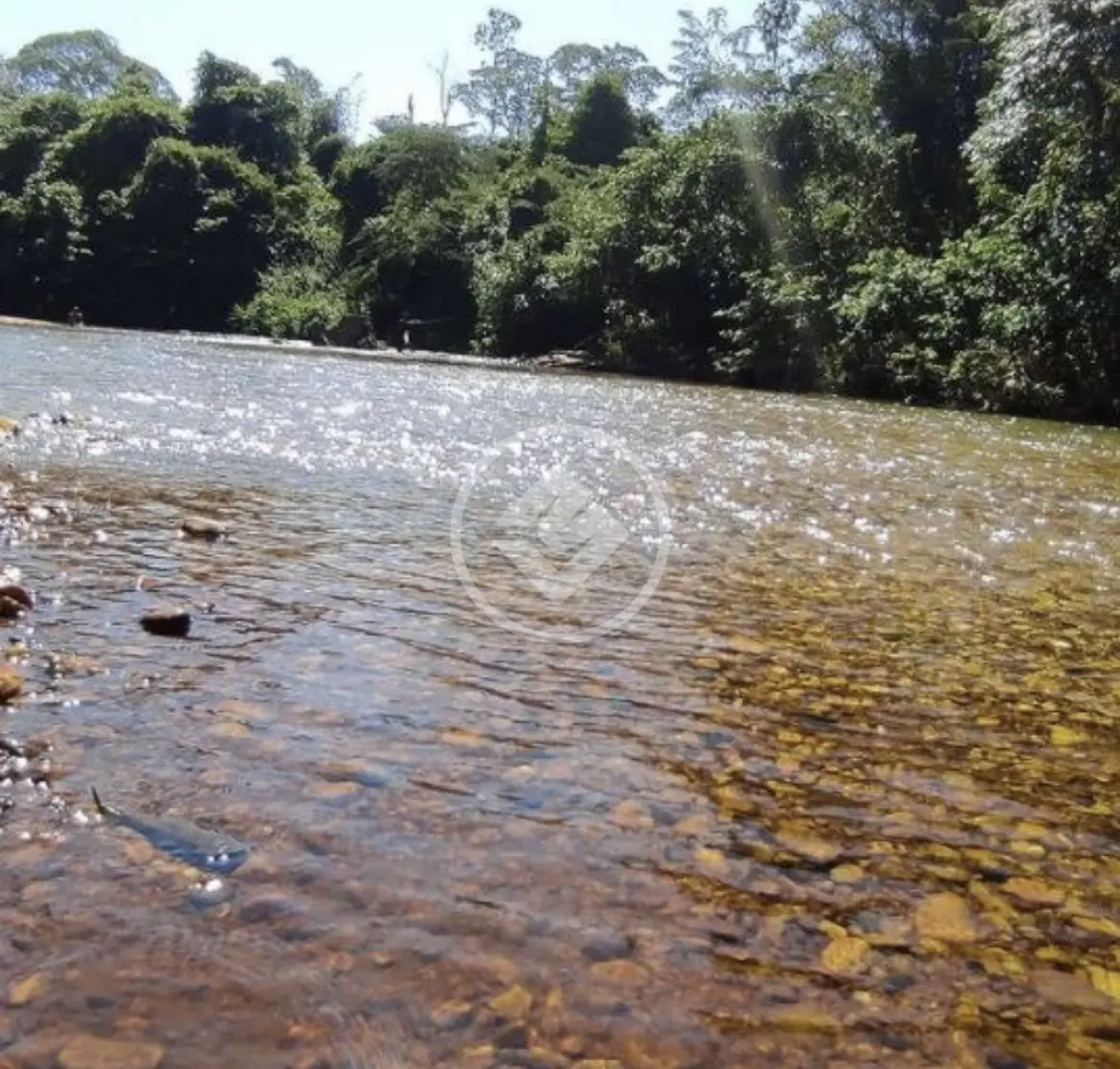 Imagem 2 - Chácara em Área Rural de Cuiabá, Cuiabá - MT