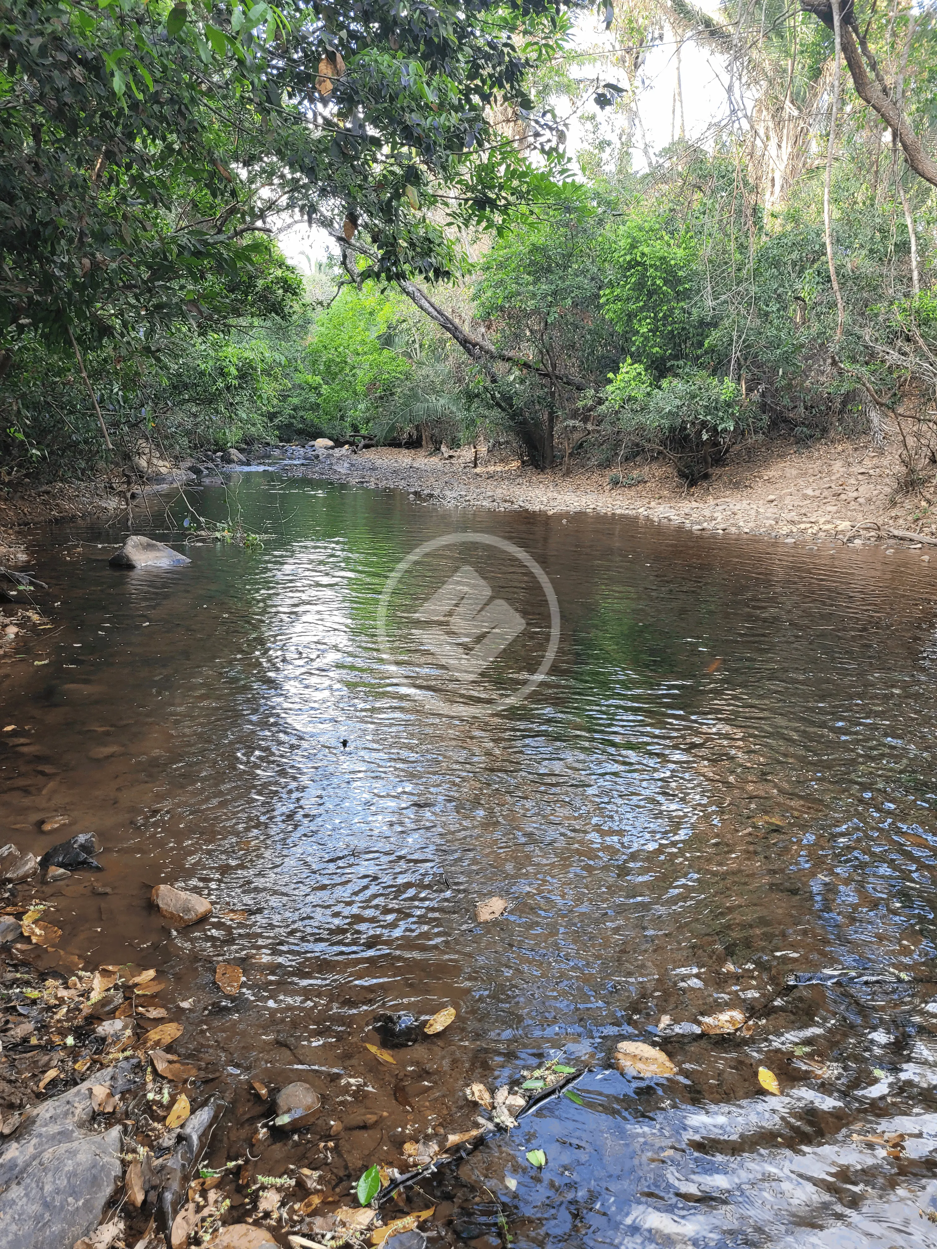 Imagem 4 - Sítio em Jardim Paraiso, Cáceres - MT