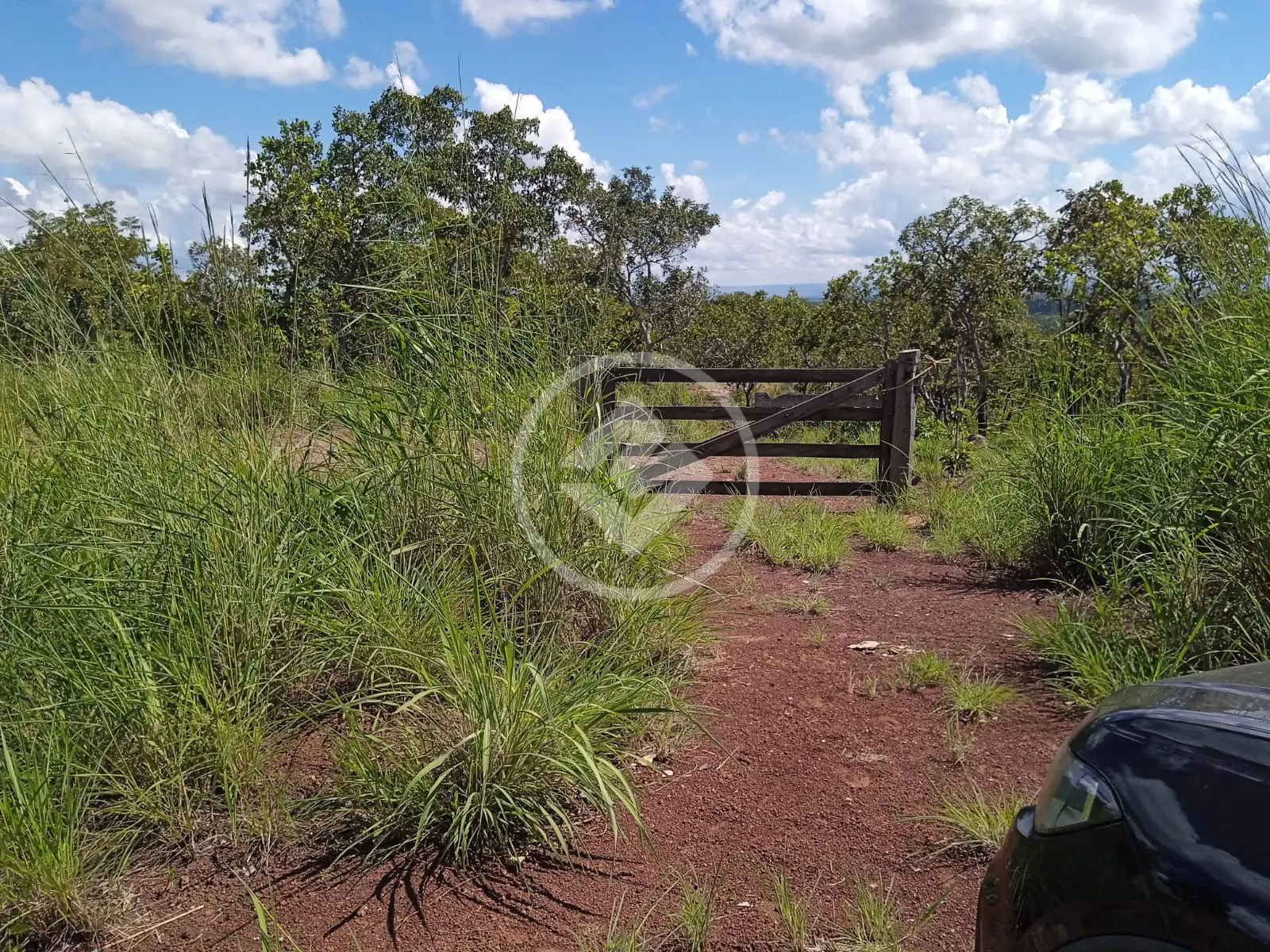 Imagem 2 - Fazenda em Area Rural, Rosário Oeste - MT
