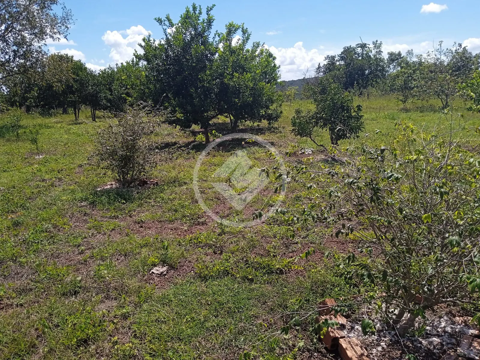 Image 17 - Fazenda em Area Rural, Rosário Oeste - MT