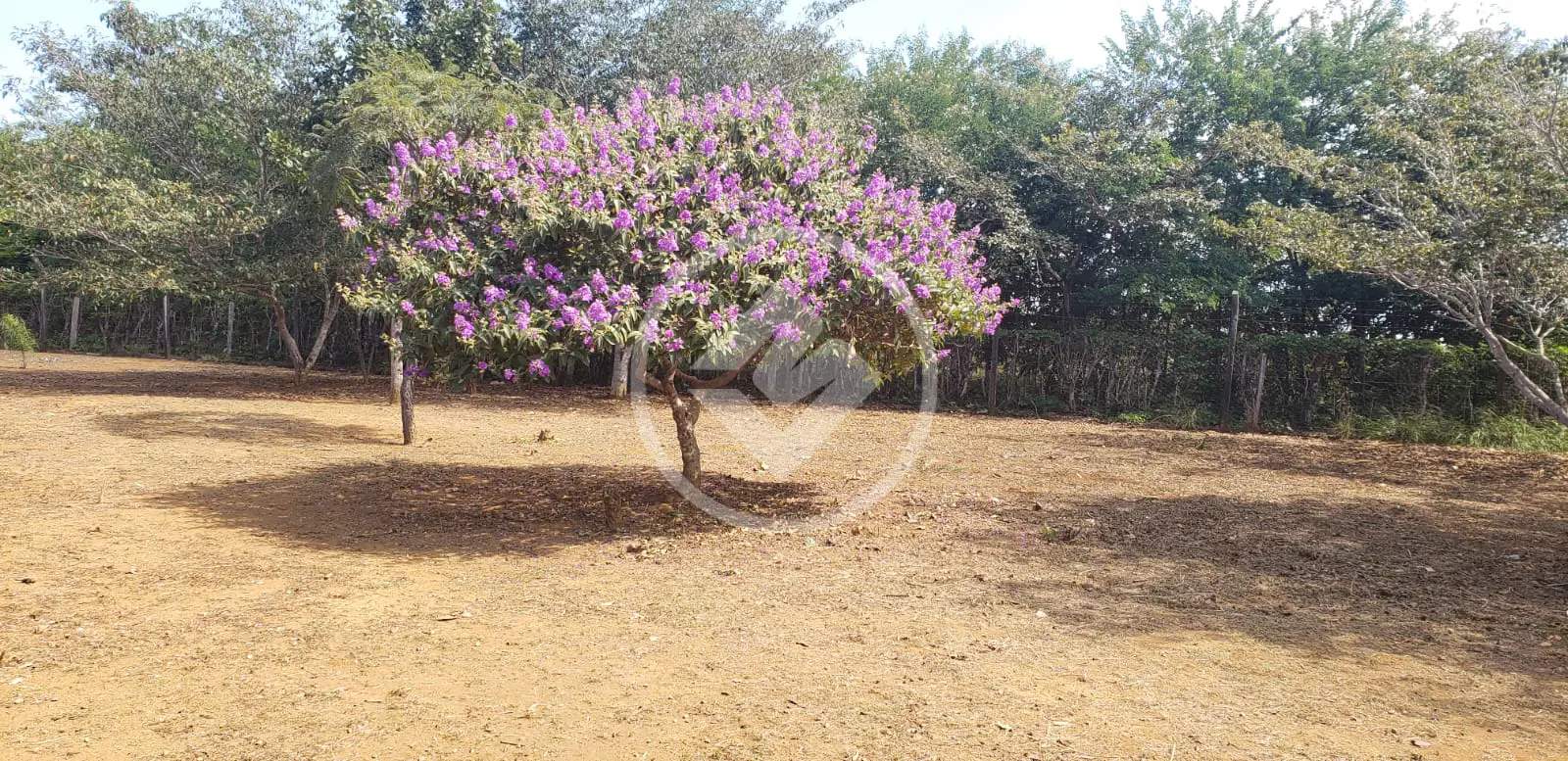 Imagem 2 - Chácara em FLORADA DA SERRA, Chapada dos Guimarães - MT