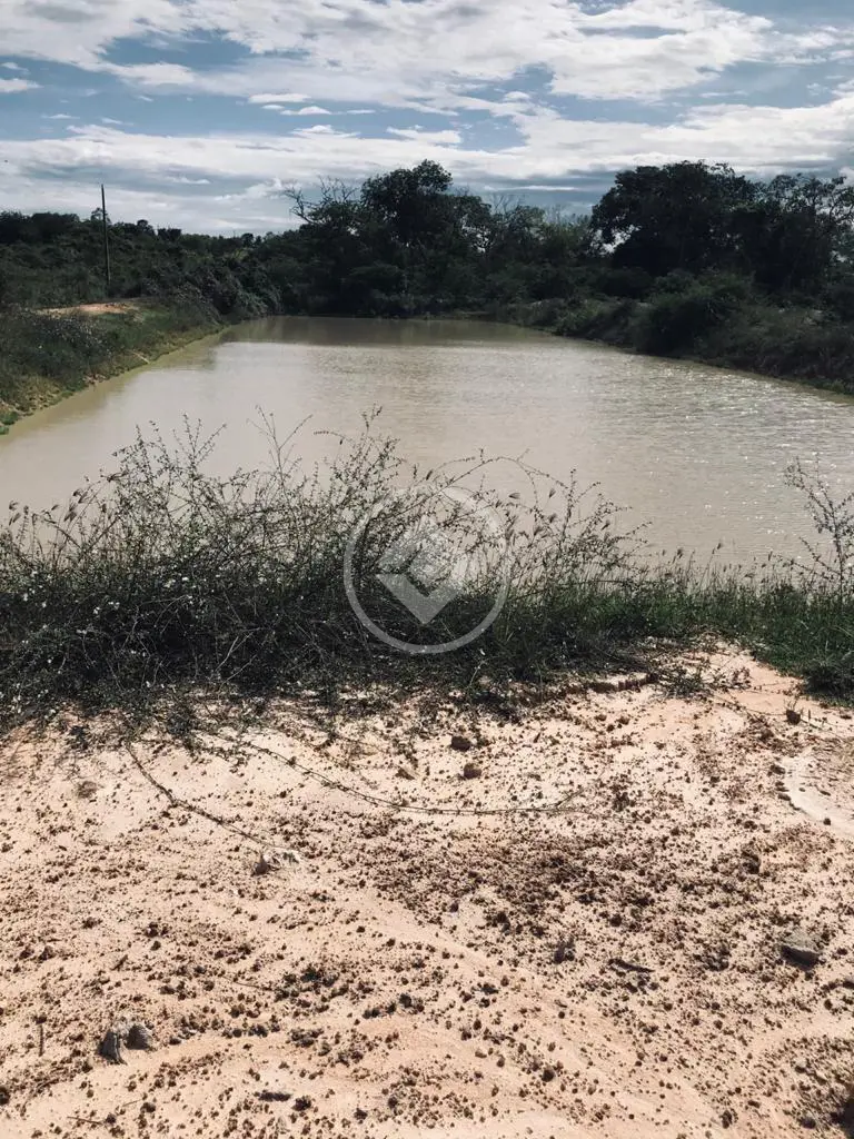Imagem 6 - Chácara em DISTRITO DE NOSSA SRA DA GUIA, Cuiabá - MT