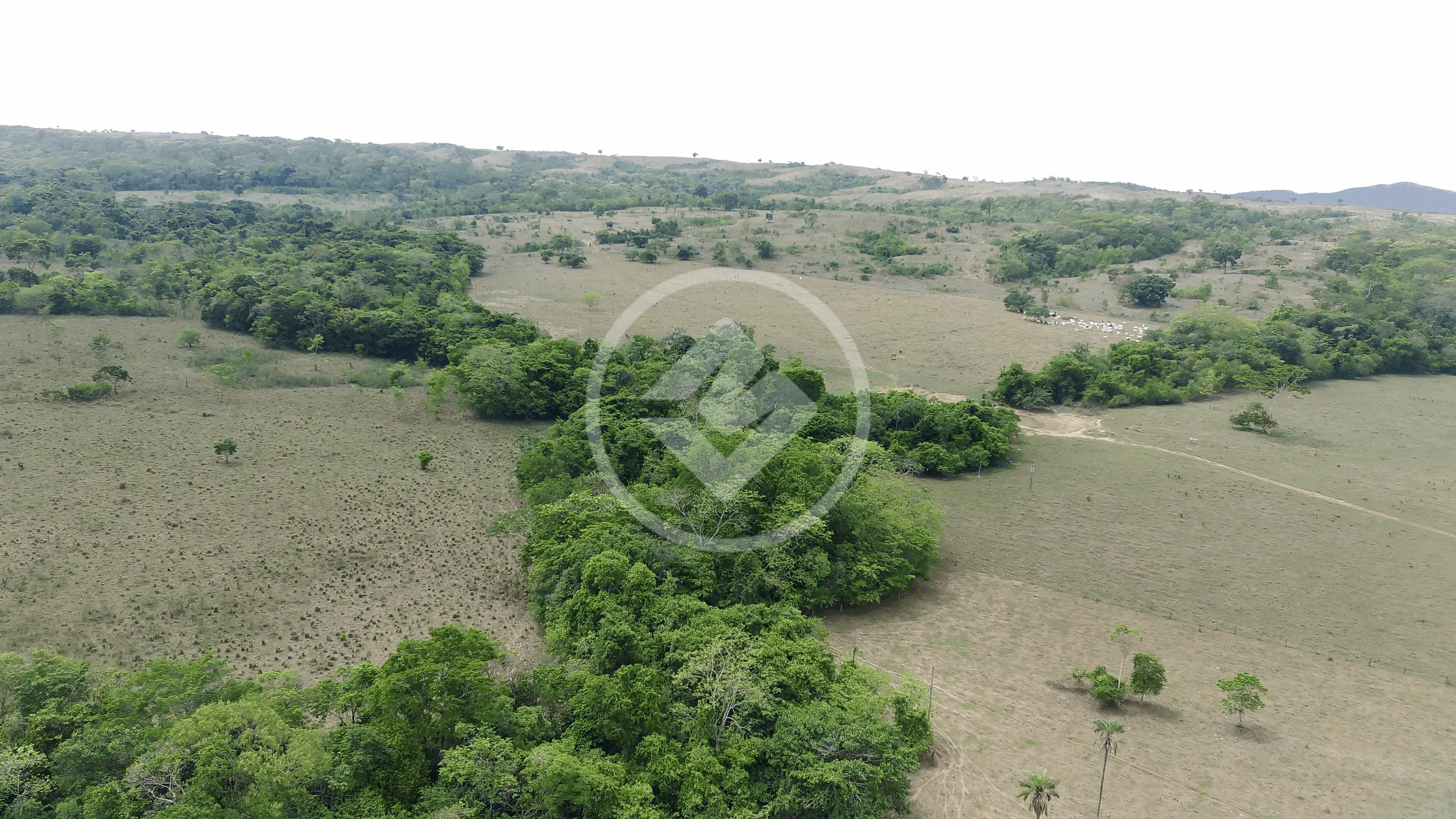 Imagem 6 - Fazenda em CENTRO, Diamantino - MT