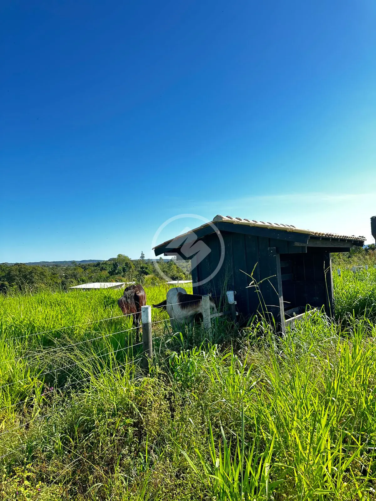 Imagem 2 - Chácara em Área Rural, Chapada dos Guimarães - MT