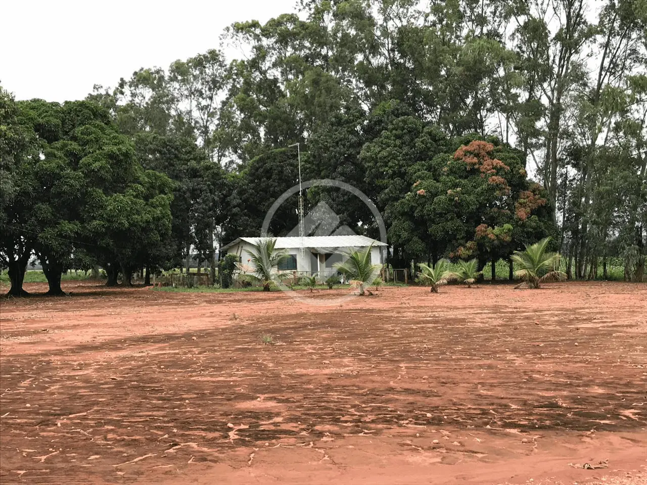 Imagem 6 - Fazenda em RURAL, Nova Mutum - MT