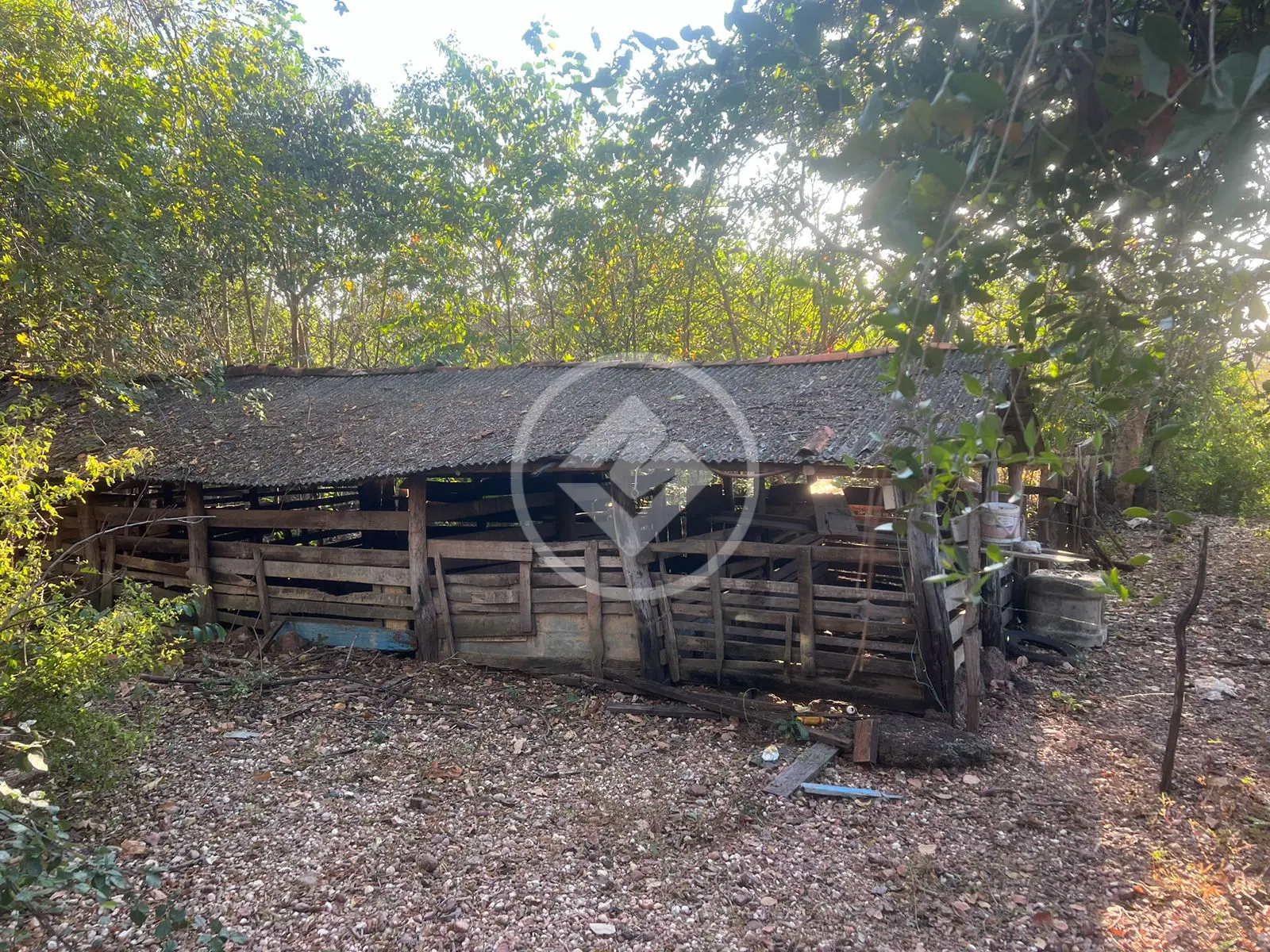 Imagem 6 - Chácara em BAIRRO CONVERSAO, CIDADE CONVERSAO - MT