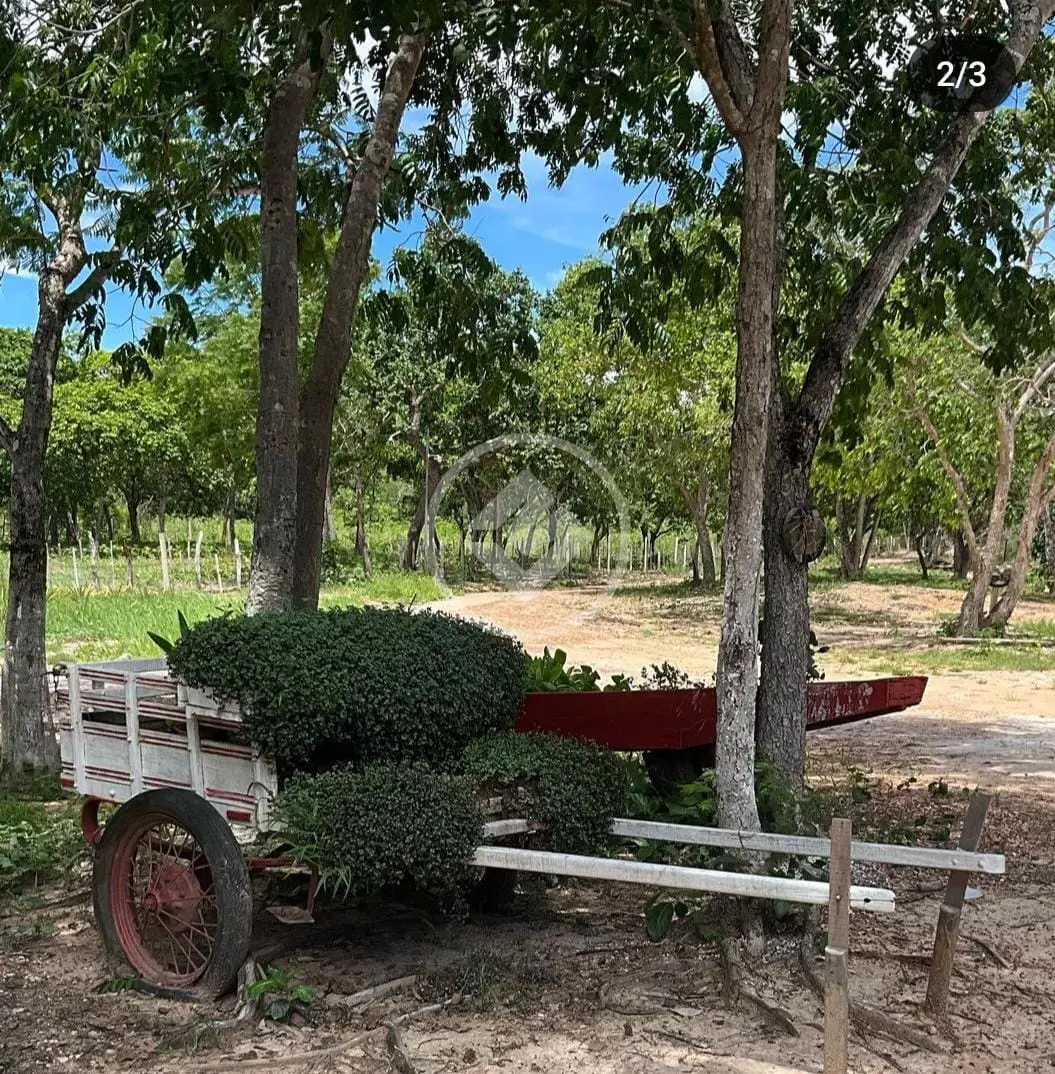 Imagem 6 - Chácara em COXIPO, Cuiabá - MT