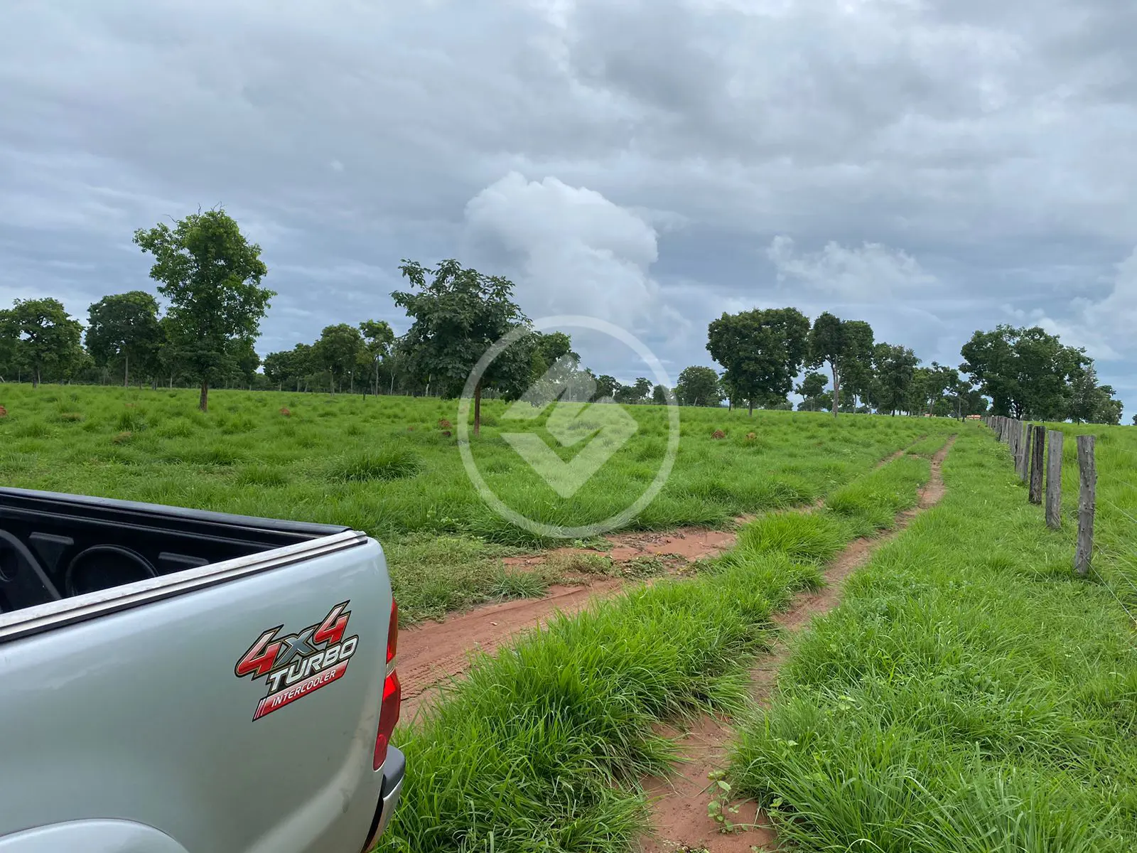 Imagem 4 - Fazenda em Garçês, Cáceres - MT