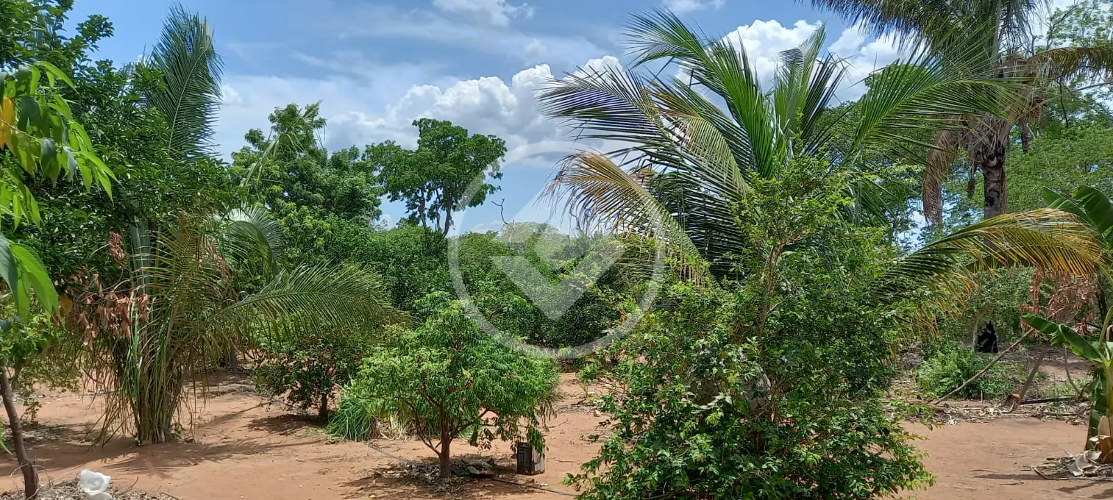 Imagem 6 - Chácara em ZONA RURAL, CIDADE CONVERSAO - MT