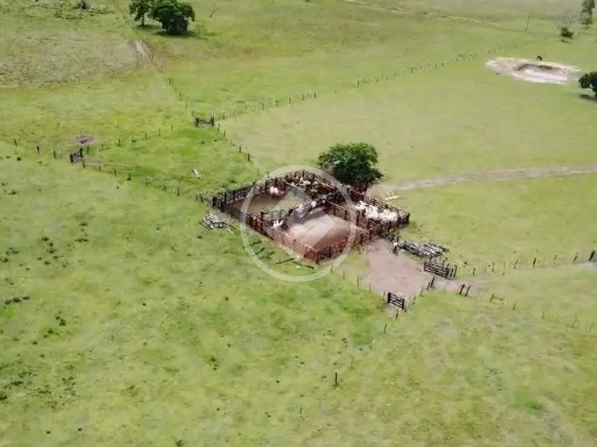 Imagem 5 - Fazenda em SANTA CRUZ, Chapada dos Guimarães - MT