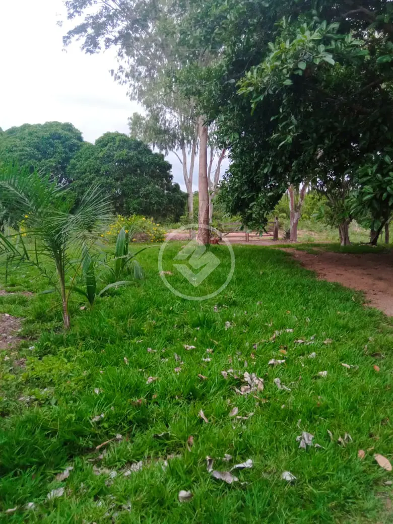 Sítio Centro, Jangada - MT — foto 2