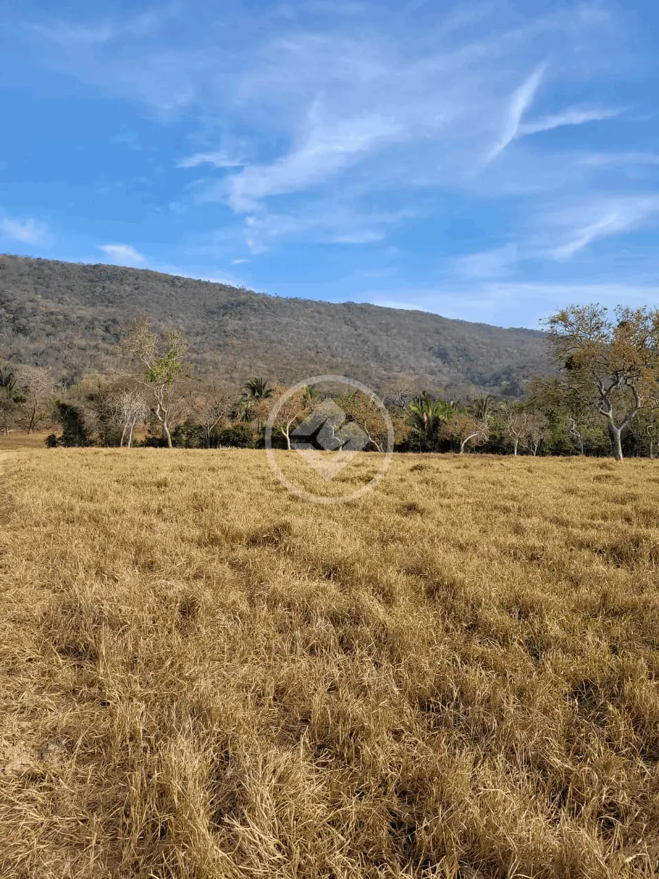 Imagem 3 - Fazenda em Jardim Paraiso, Cáceres - MT