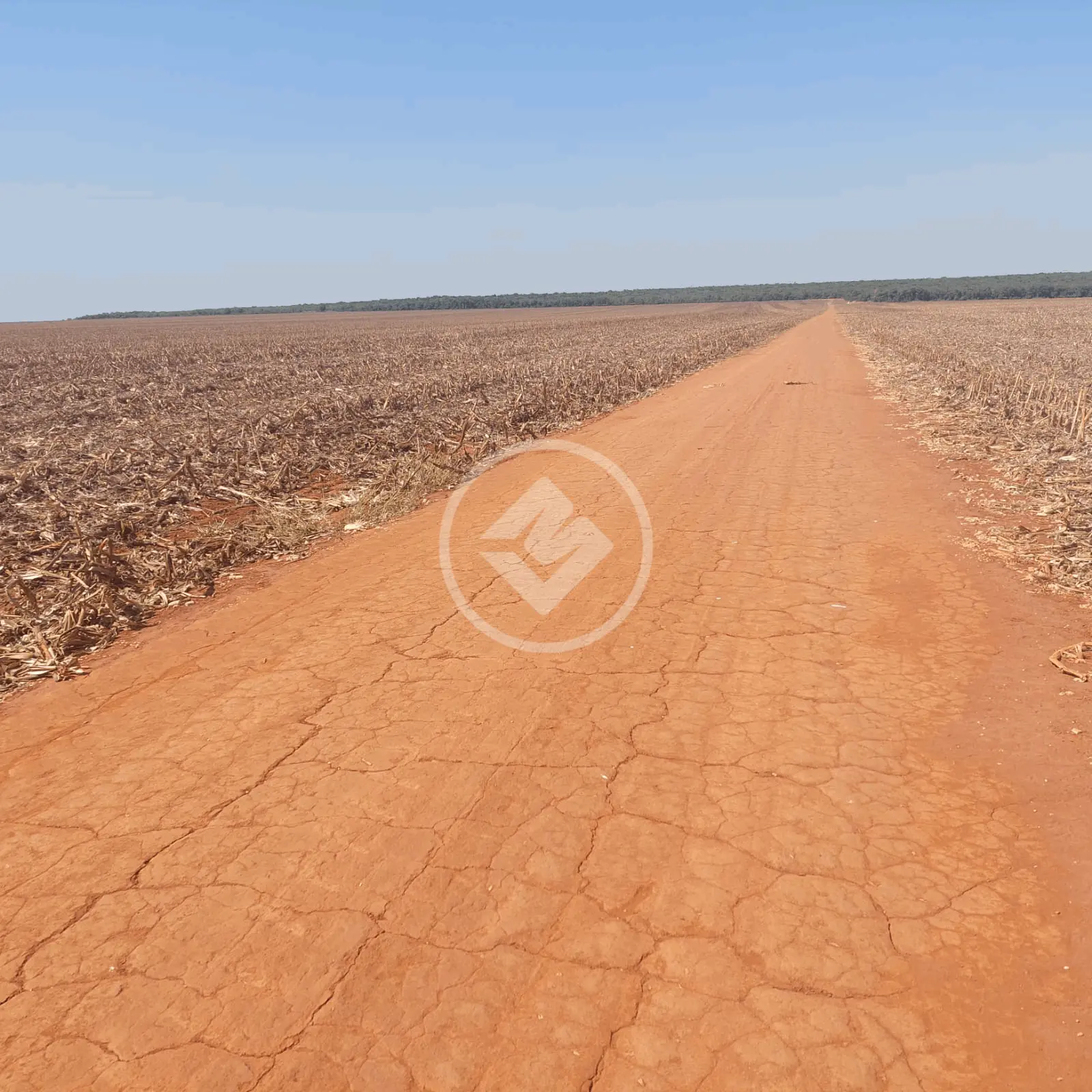 Imagem 4 - Fazenda em RURAL, Nova Mutum - MT