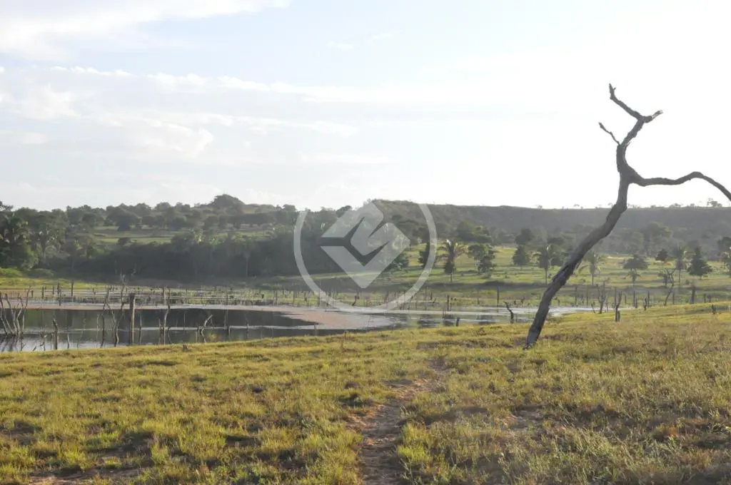 Image 13 - Fazenda em SANTA CRUZ, Chapada dos Guimarães - MT