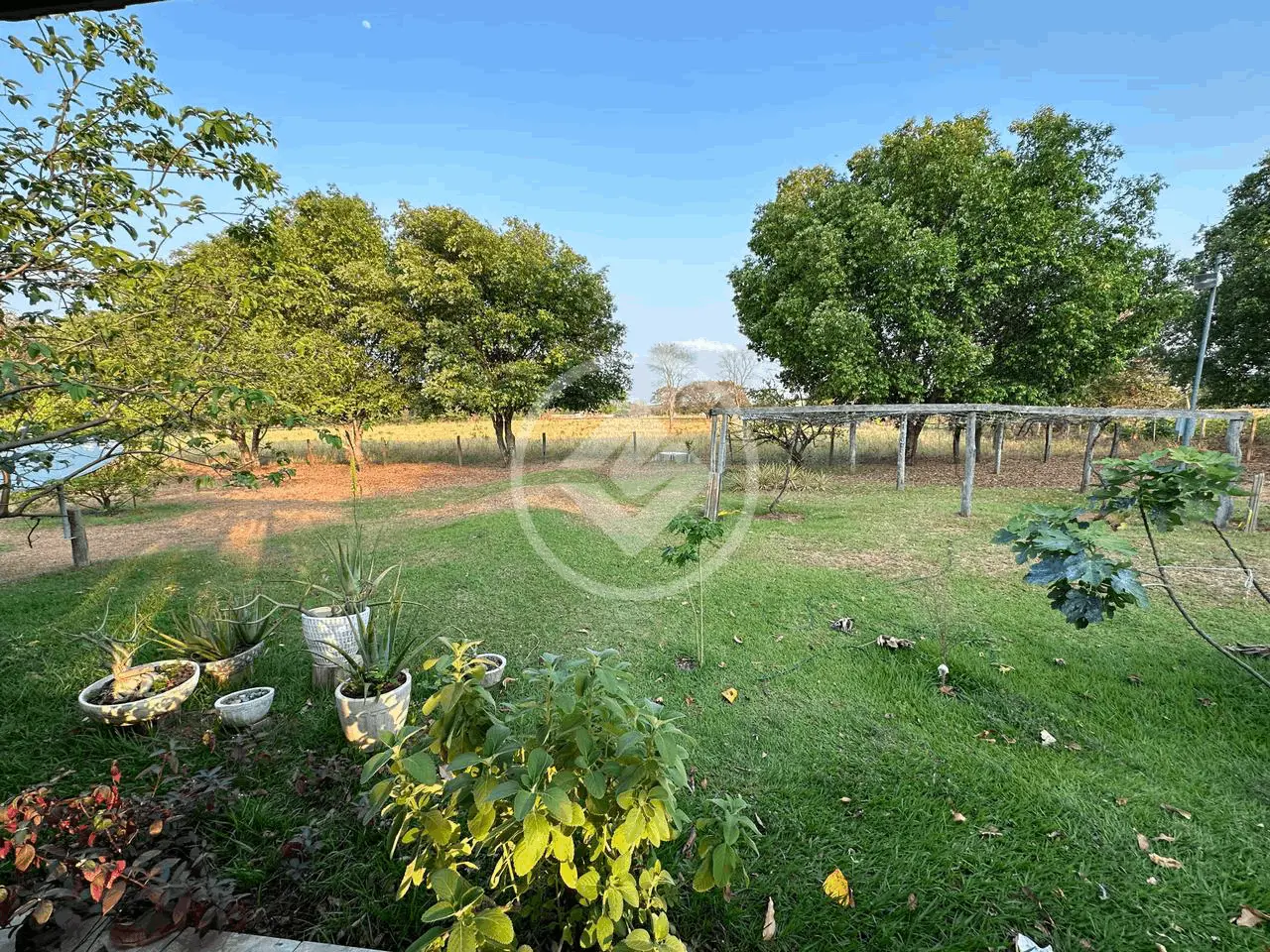 Image 10 - Fazenda em NOVO MATO GROSSO, Cuiabá - MT