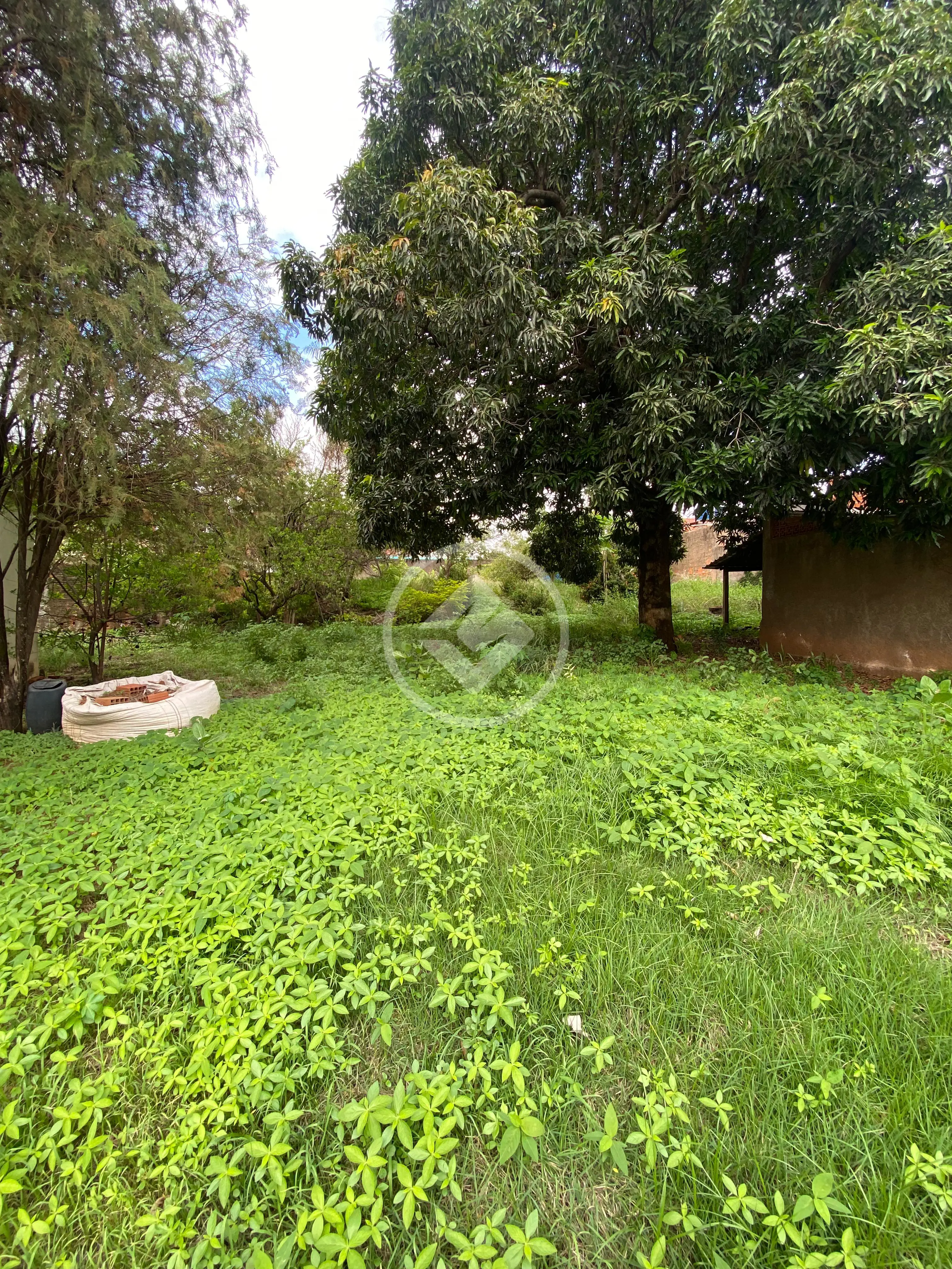 Imagem 5 - Terreno em Cidade Alta, Cuiabá - MT