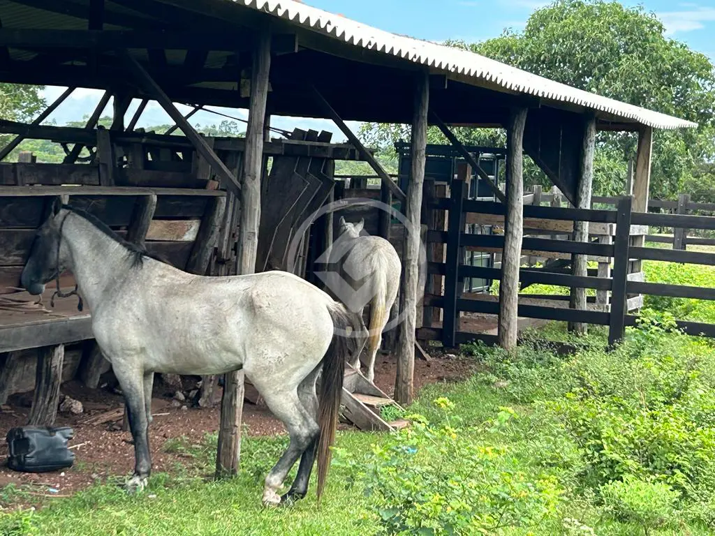 Imagem 2 - Fazenda em ZONA RURAL, Cuiabá - MT