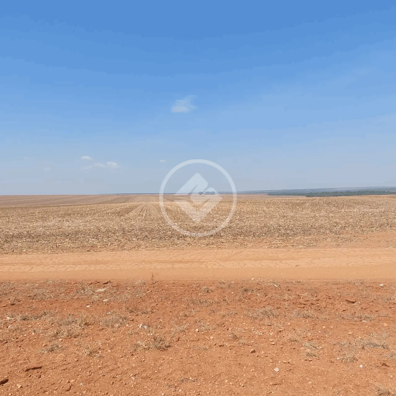 Imagem 3 - Fazenda em RURAL, Nova Mutum - MT