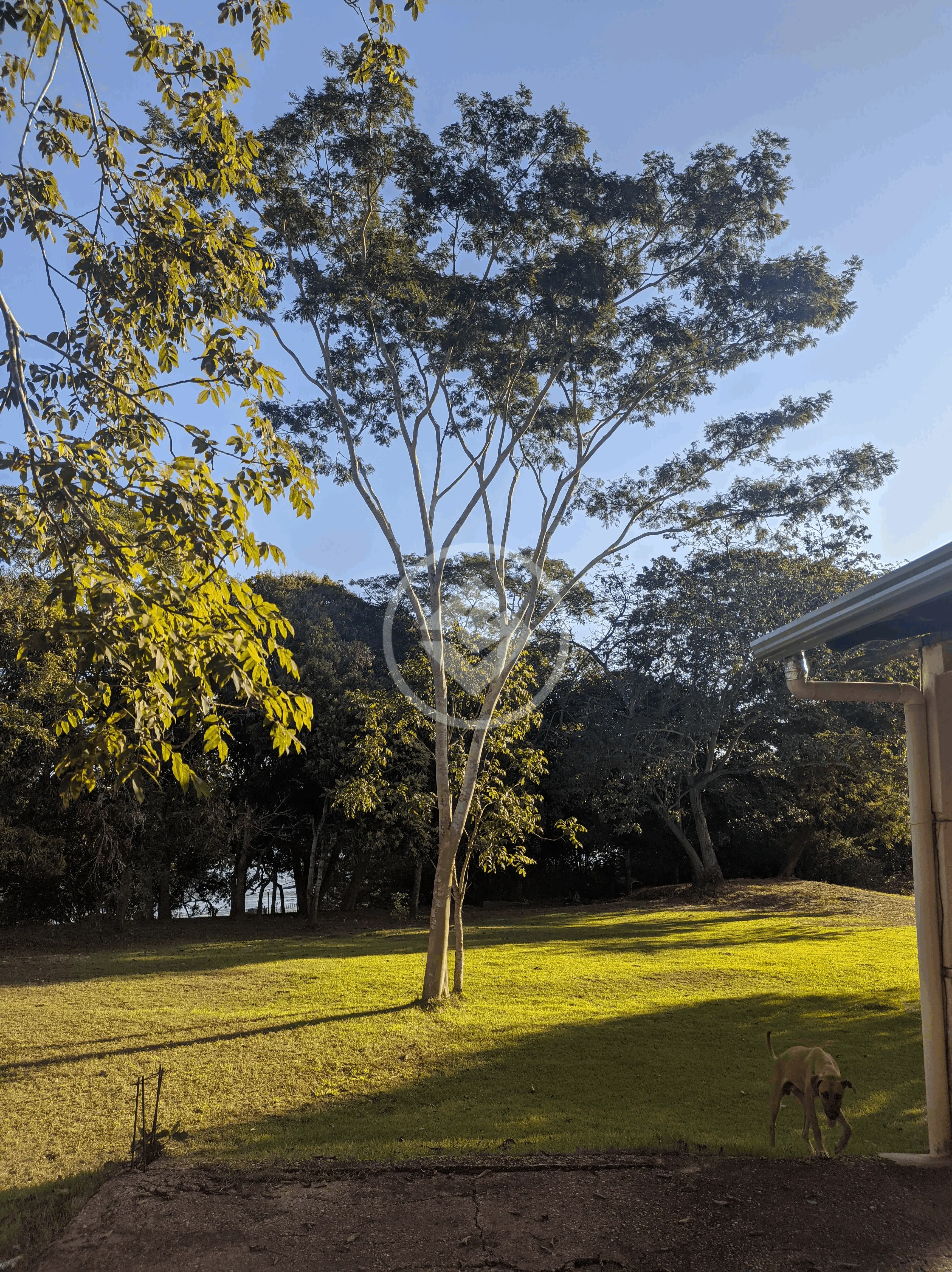 Imagem 4 - Chácara em NOVO TEMPO, Cuiabá - MT