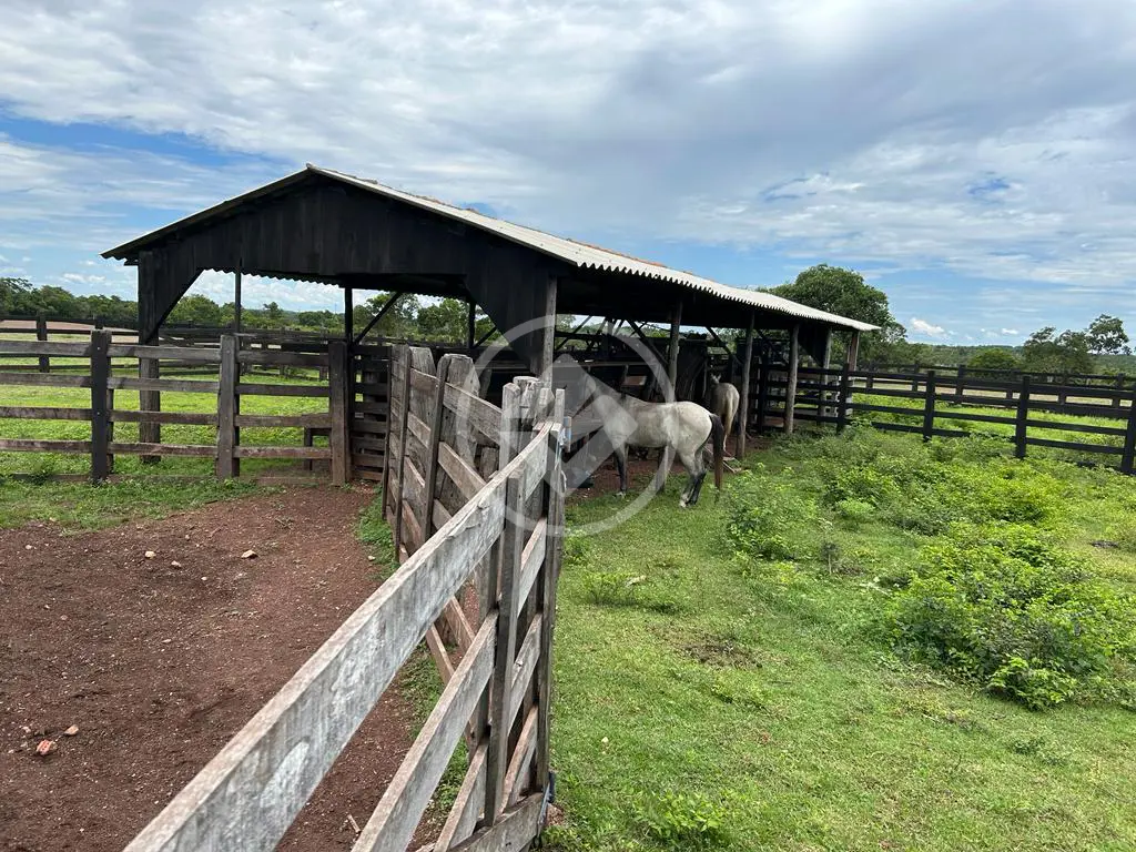Fazenda ZONA RURAL, Cuiabá - MT — foto 2