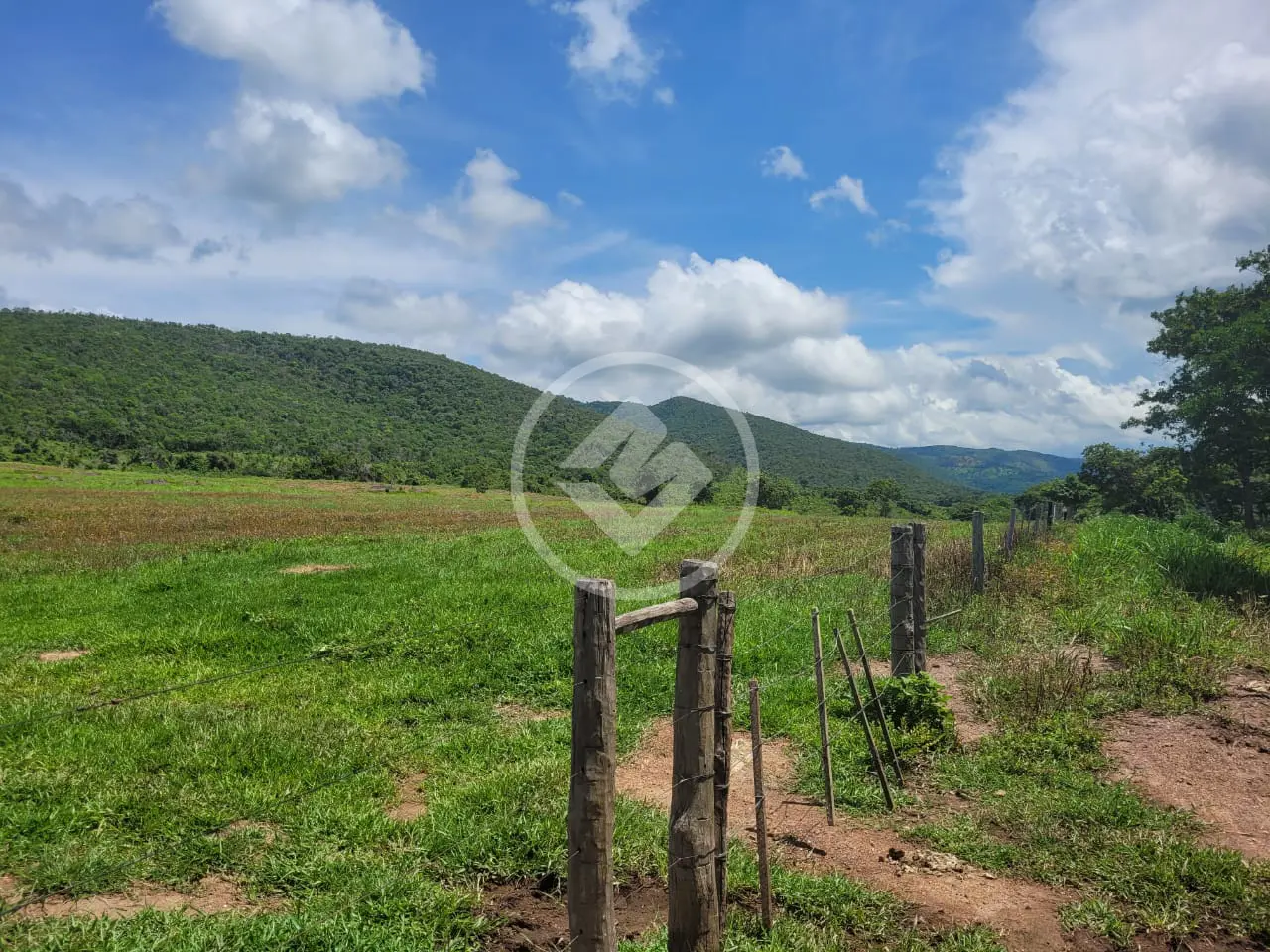 Imagem 5 - Fazenda em Zona Rural, Acorizal - MT