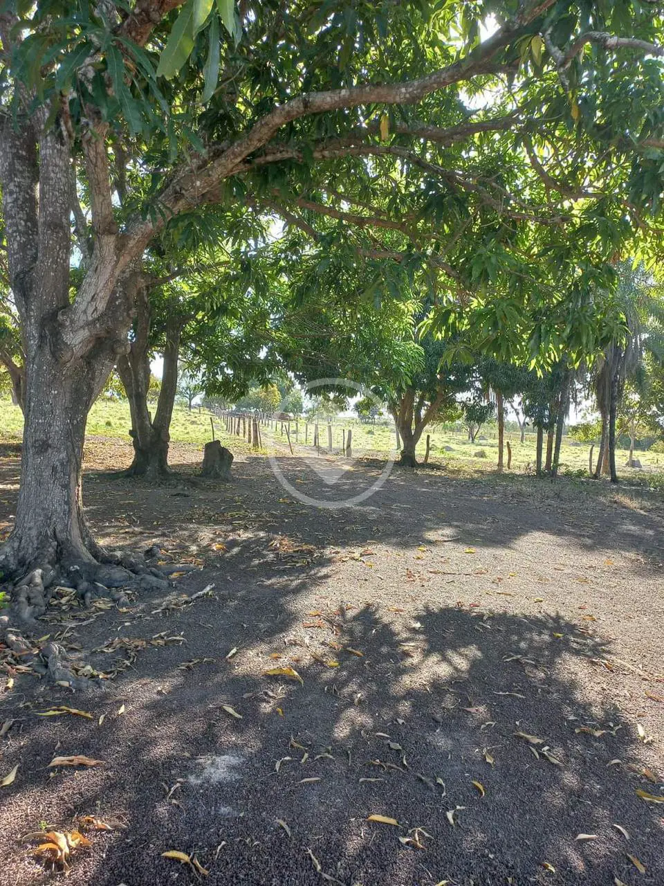 Imagem 5 - Chácara em ZONA RURAL, CIDADE CONVERSAO - MT