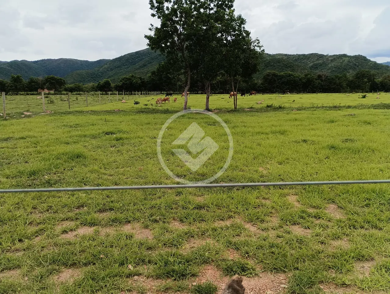 Imagem 4 - Sítio em ZONA RURAL, Cuiabá - MT