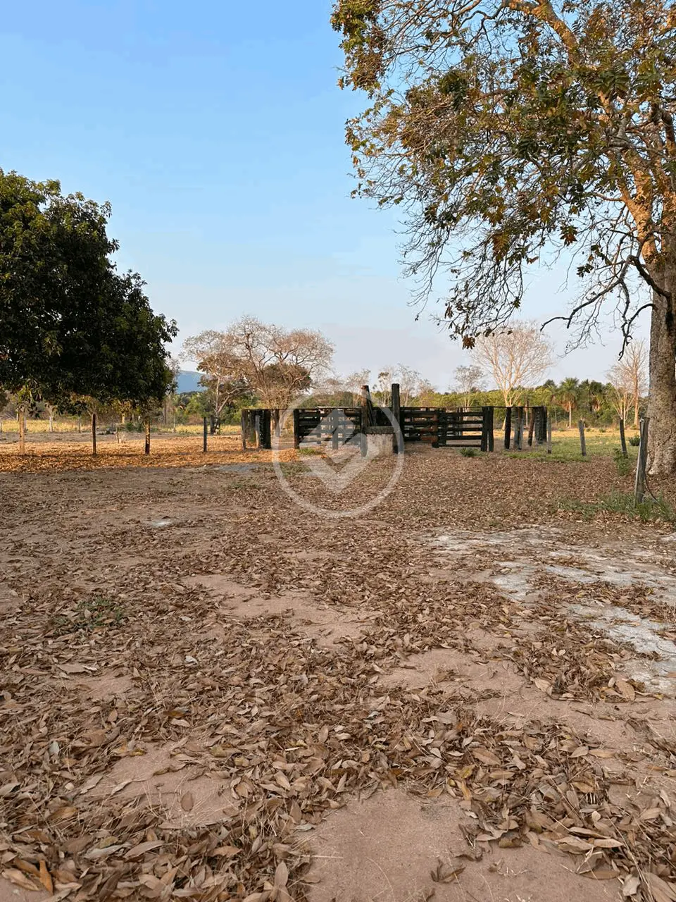 Fazenda NOVO MATO GROSSO, Cuiabá - MT — foto 2