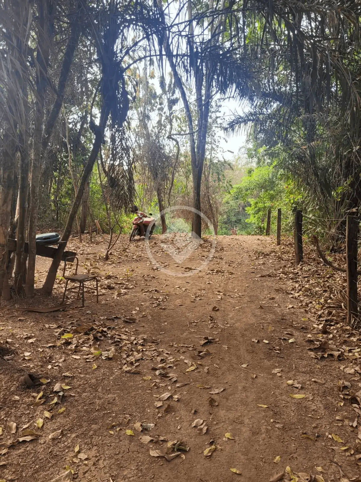 Imagem 3 - Chácara em NOVO MATO GROSSO, Cuiabá - MT
