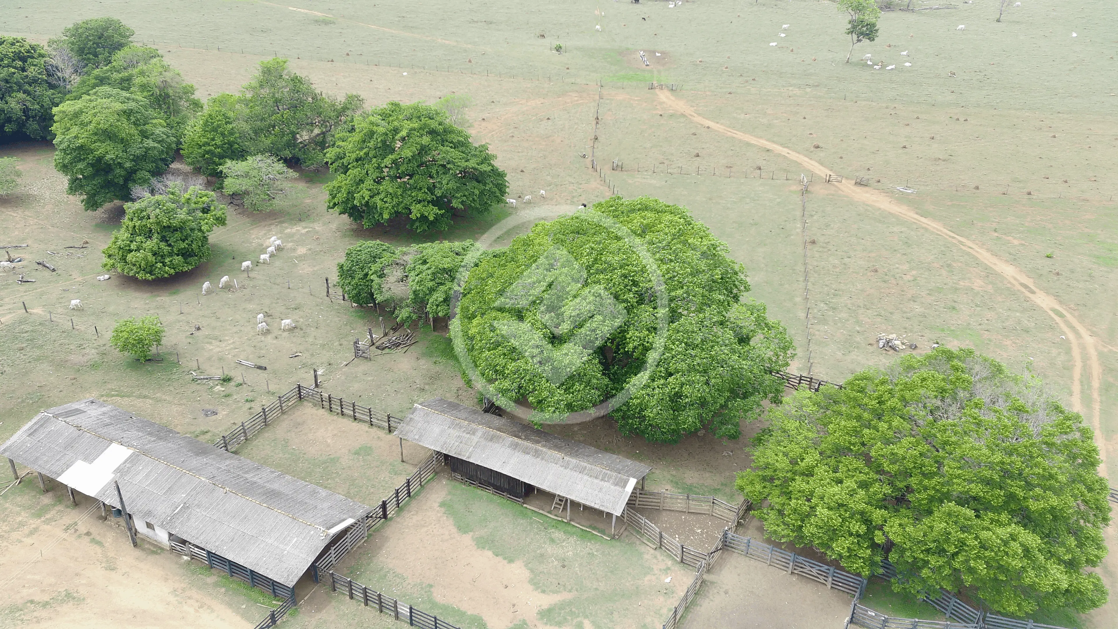 Imagem 3 - Fazenda em CENTRO, Diamantino - MT