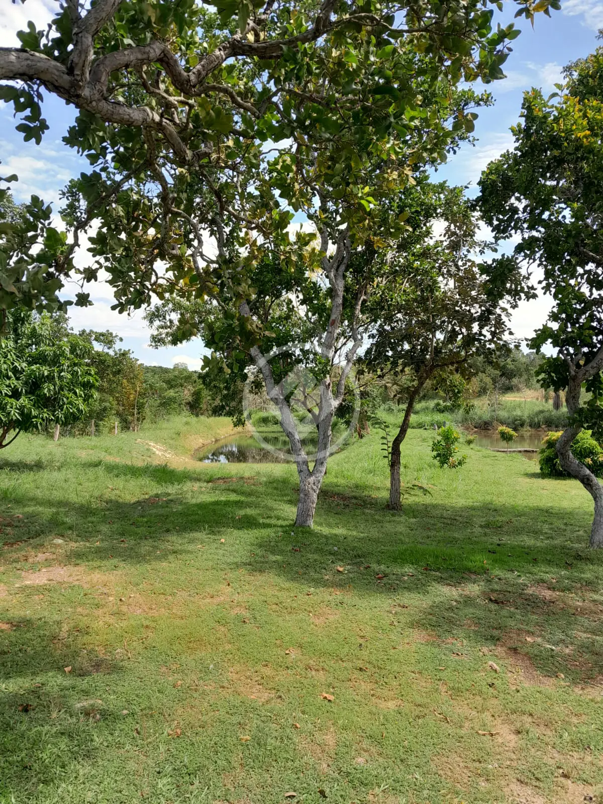 Imagem 5 - Chácara em Nossa Senhora da Guia, Cuiabá - MT