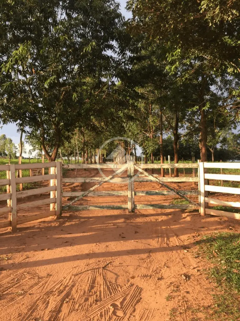 Image 39 - Fazenda em GRANDE TERCEIRO, Cuiabá - MT