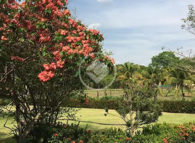 Imagem 2 - Chácara em DISTRITO DE NOSSA SRA DA GUIA, Cuiabá - MT