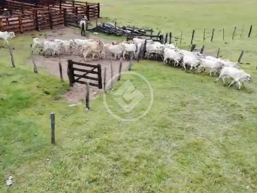 Imagem 2 - Fazenda em SANTA CRUZ, Chapada dos Guimarães - MT