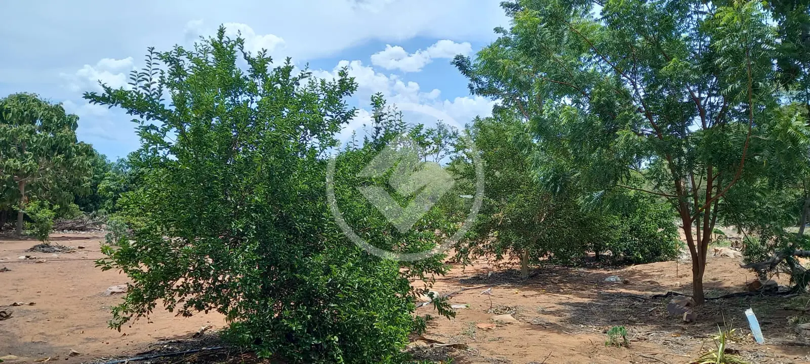 Image 8 - Chácara em ZONA RURAL, CIDADE CONVERSAO - MT